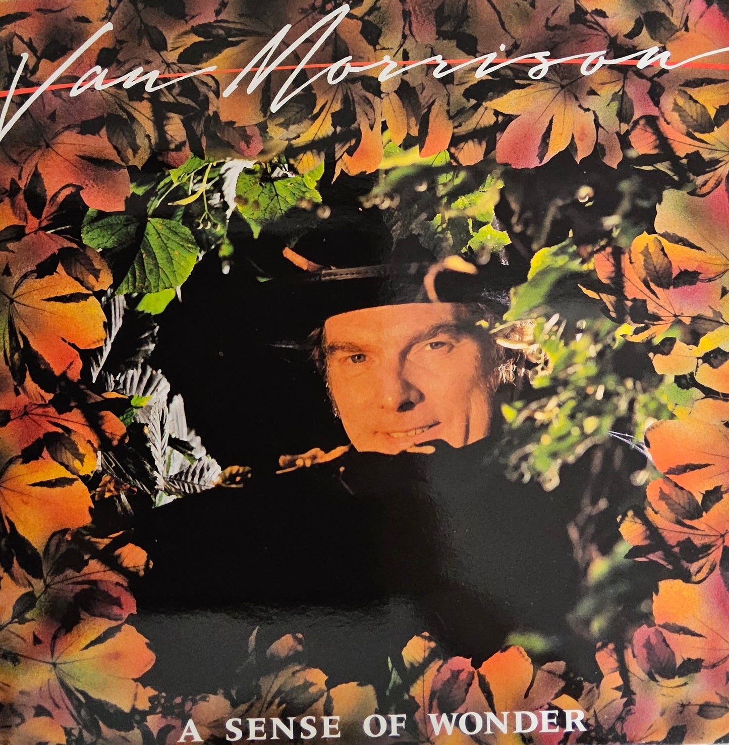 Van Morrison – A Sense Of Wonder