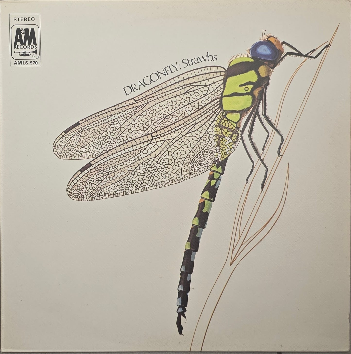 Strawbs – Dragonfly