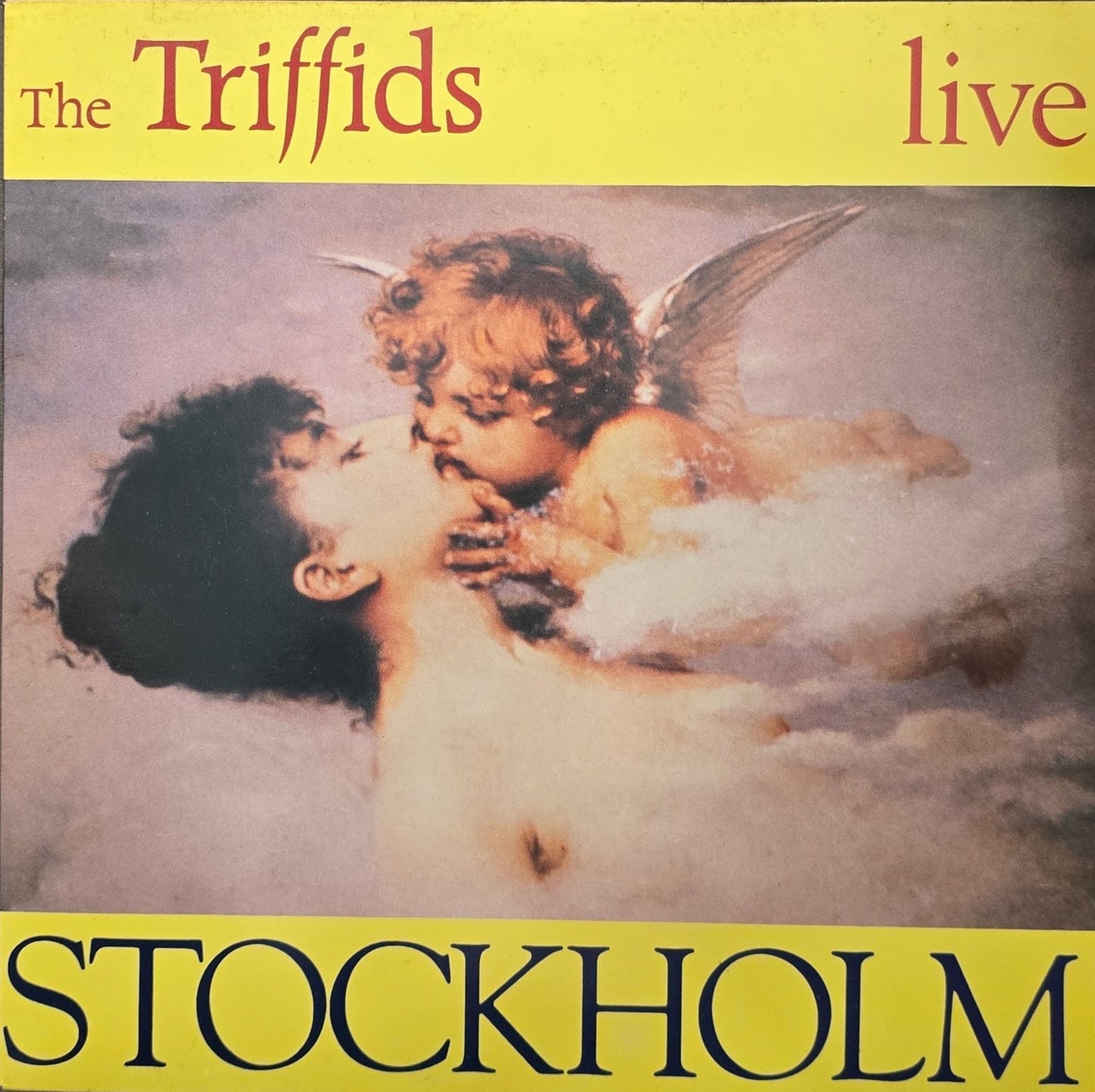 The Triffids – Stockholm - Live