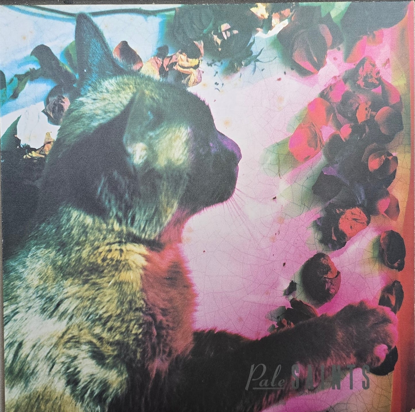 Pale Saints – The Comforts Of Madness