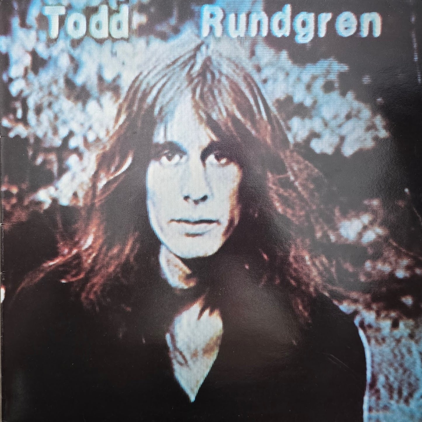 Todd Rundgren – Hermit Of Mink Hollow