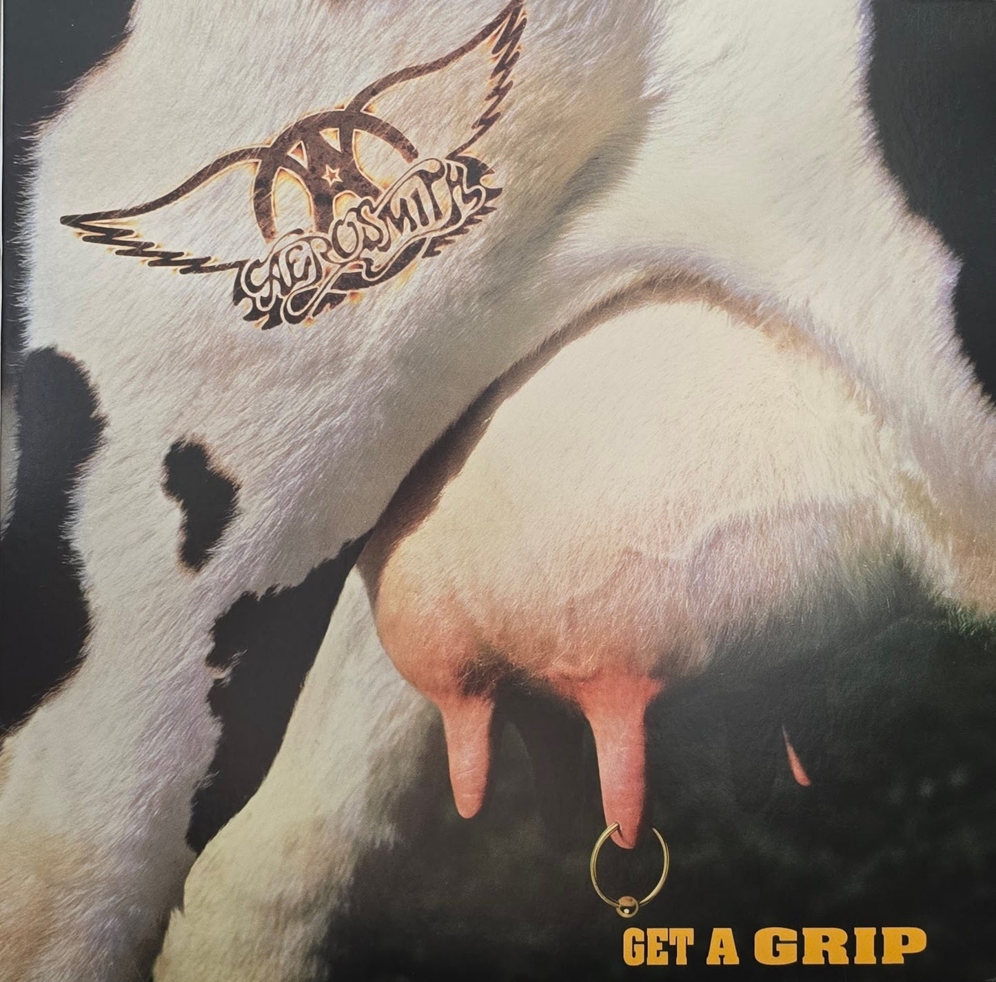 Aerosmith – Get A Grip
