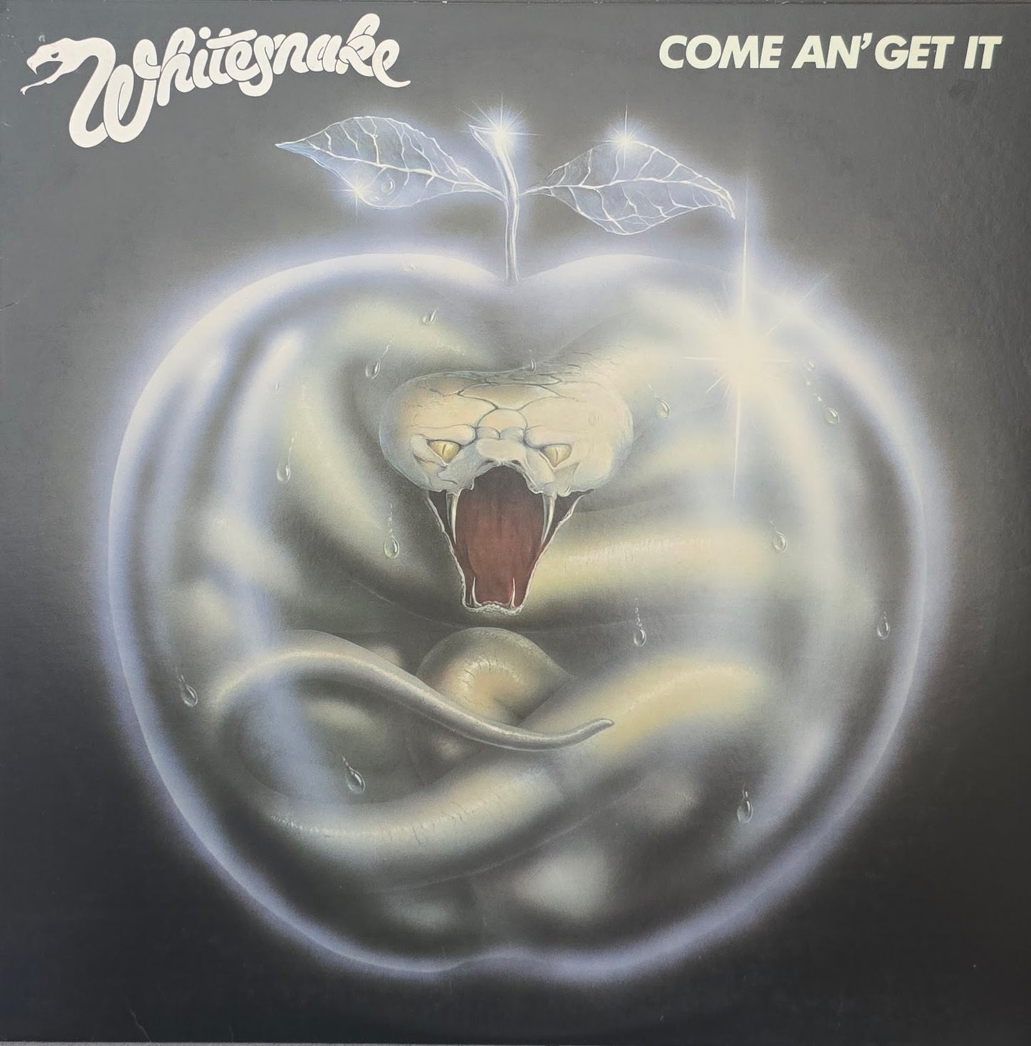 Whitesnake – Come An' Get It