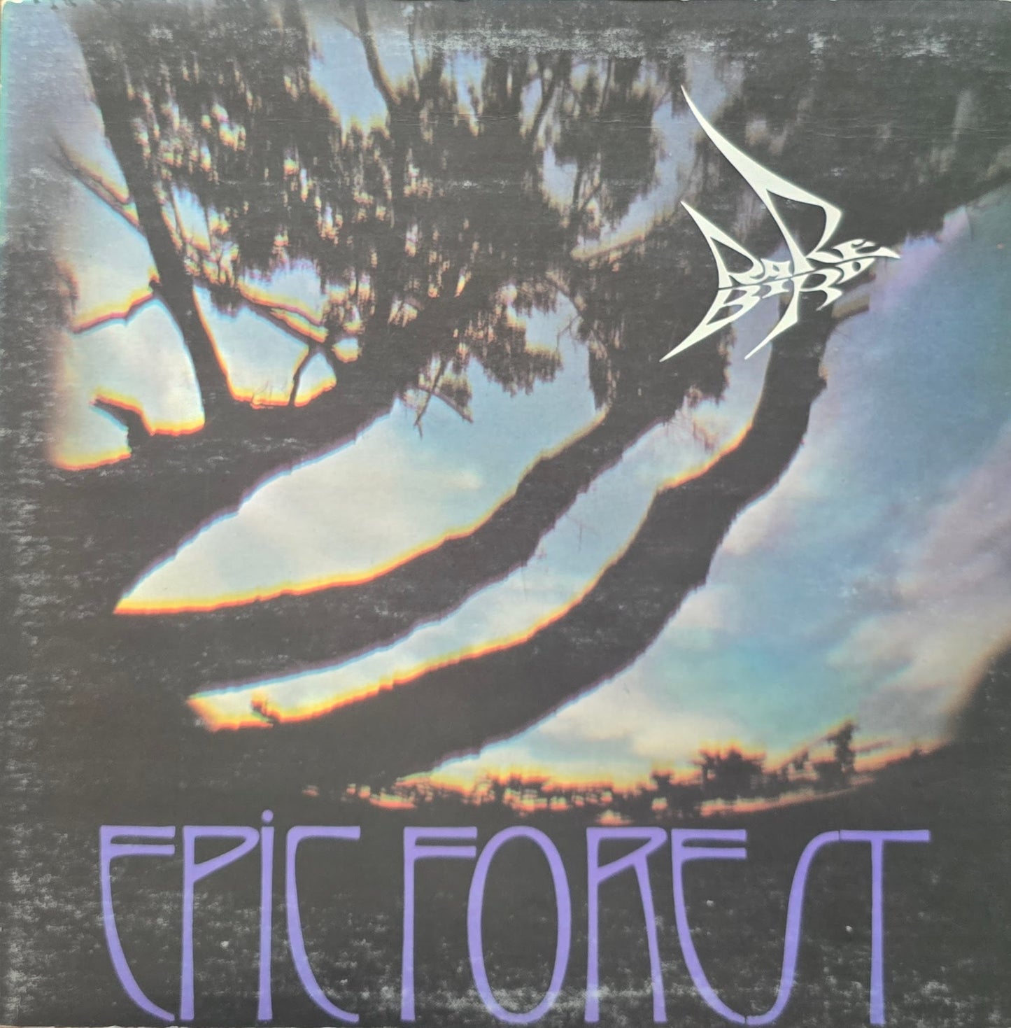 Rare Bird – Epic Forest (LP + 7 " Single)