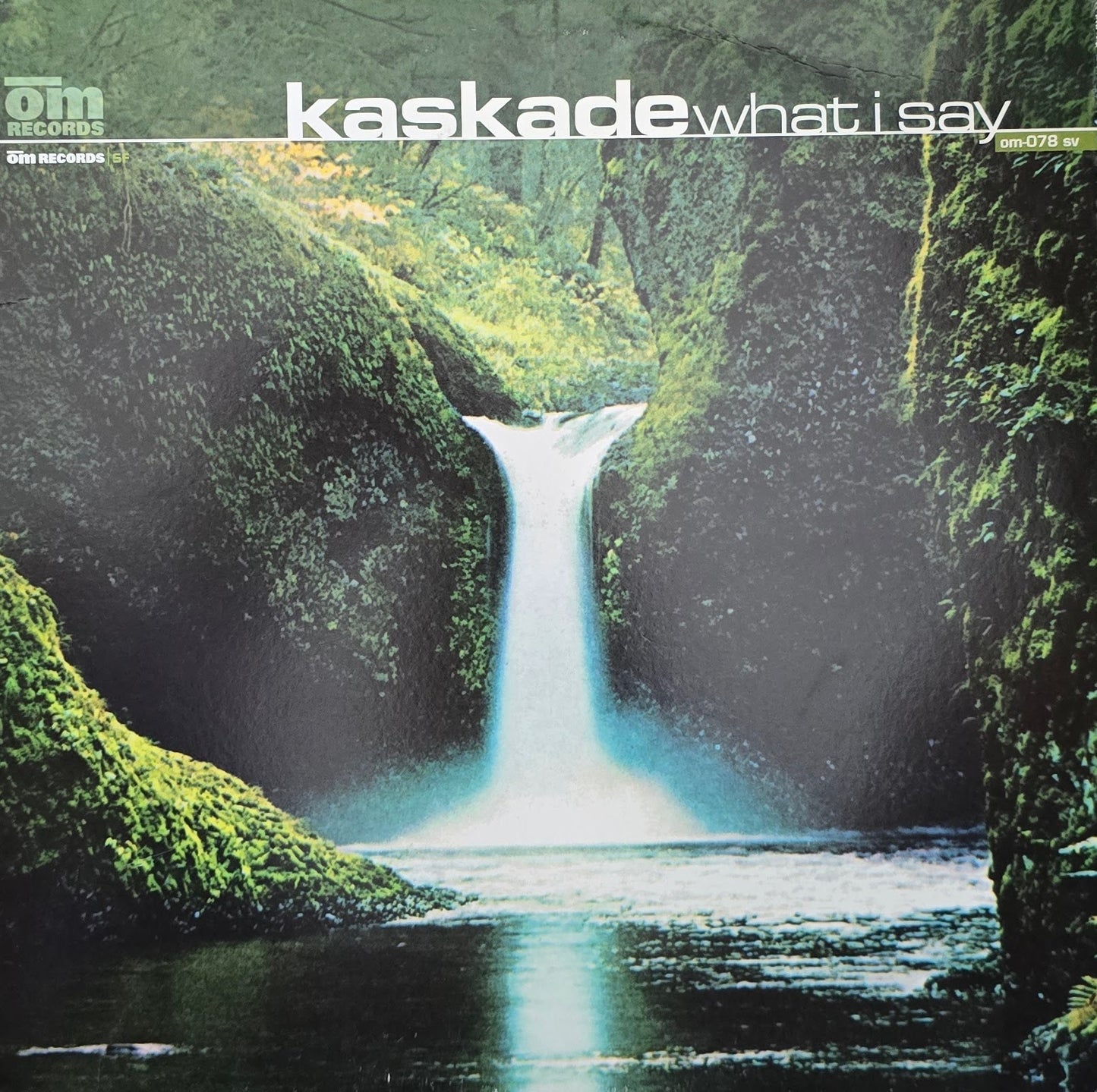 Kaskade – What I Say