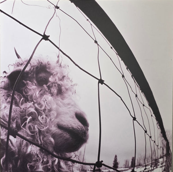 Pearl Jam – Vs.