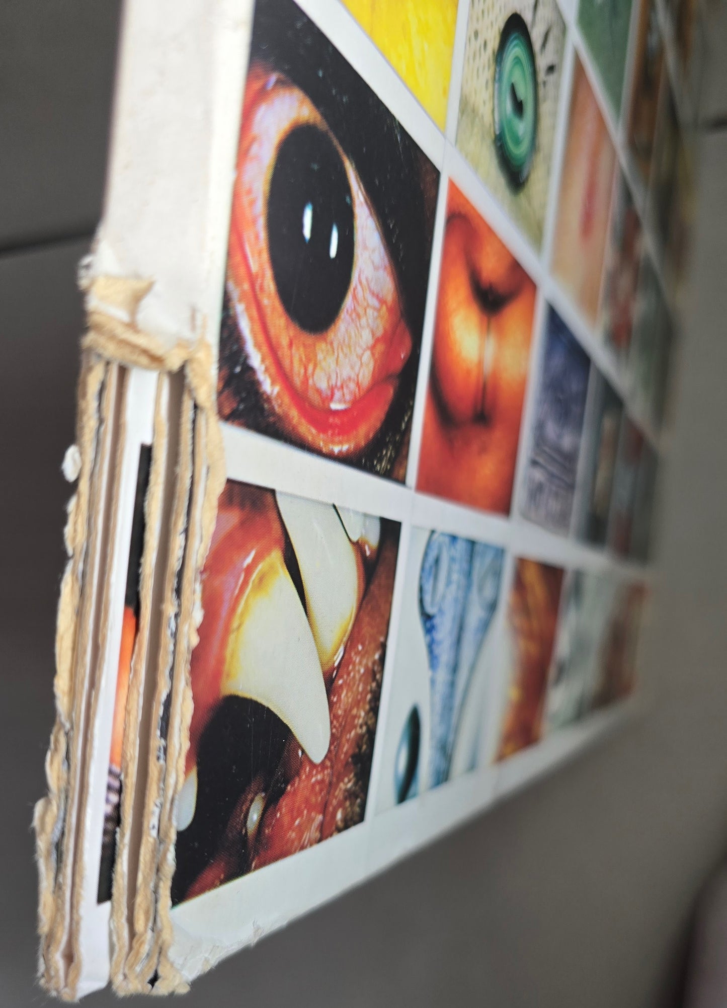 Pearl Jam – No Code