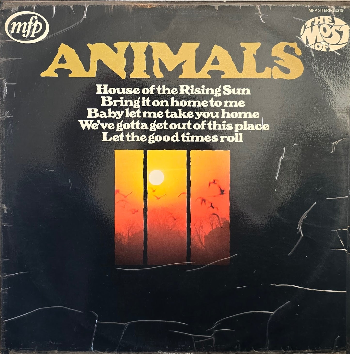 Animals – The Most Of