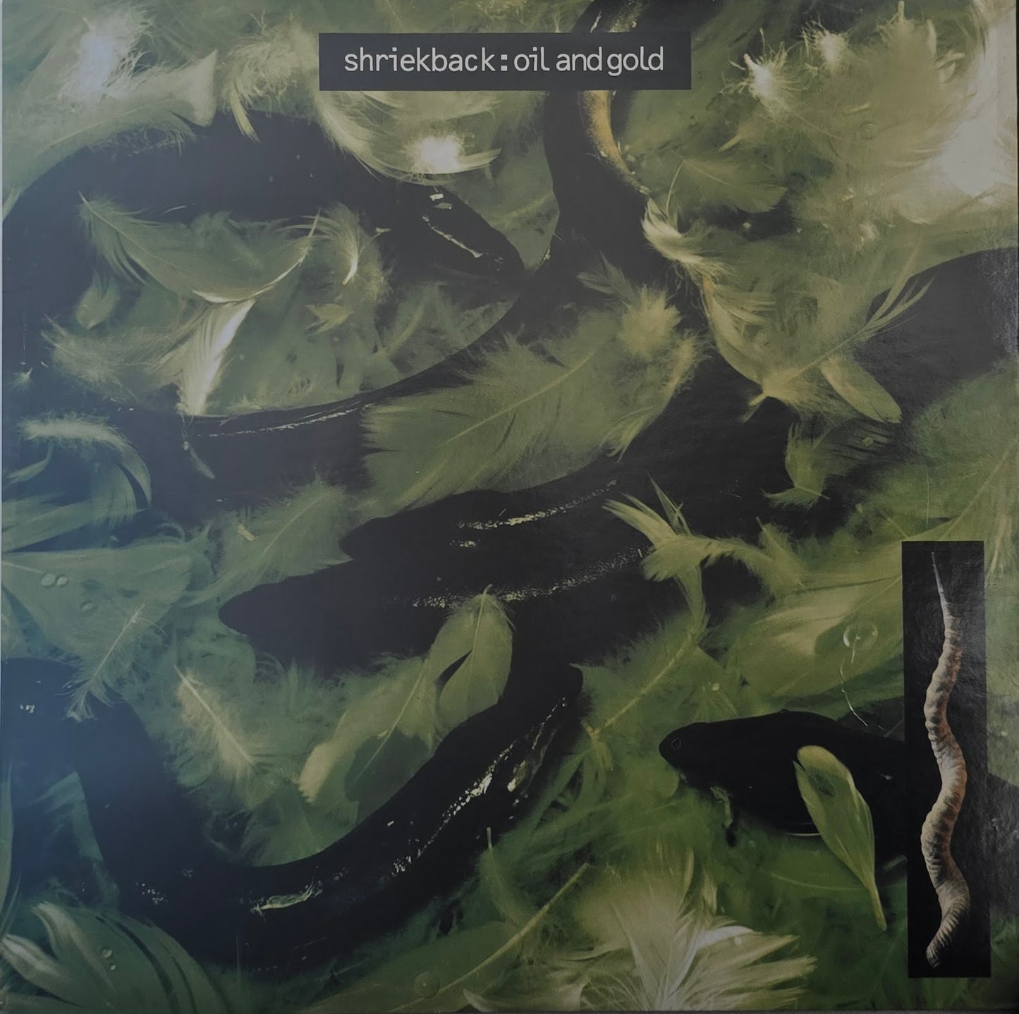 Shriekback – Oil And Gold
