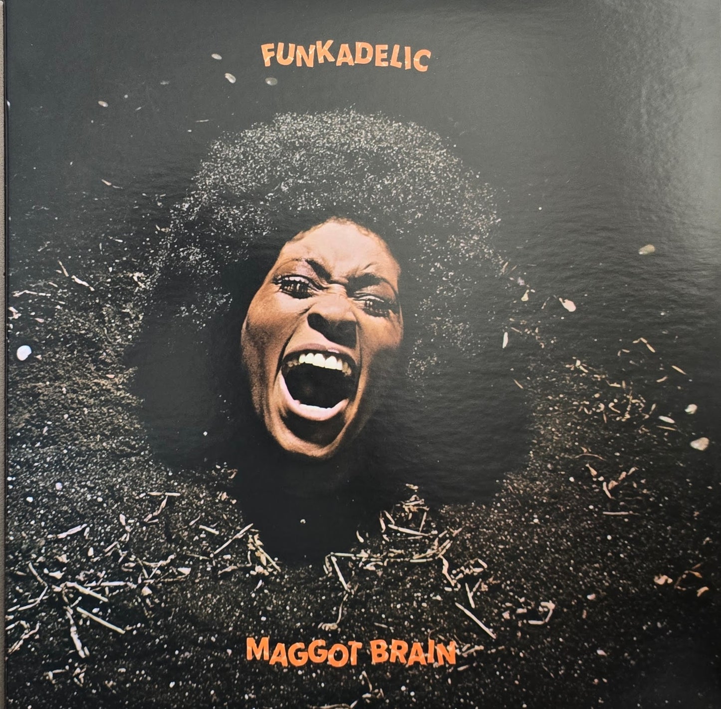 Funkadelic – Maggot Brain