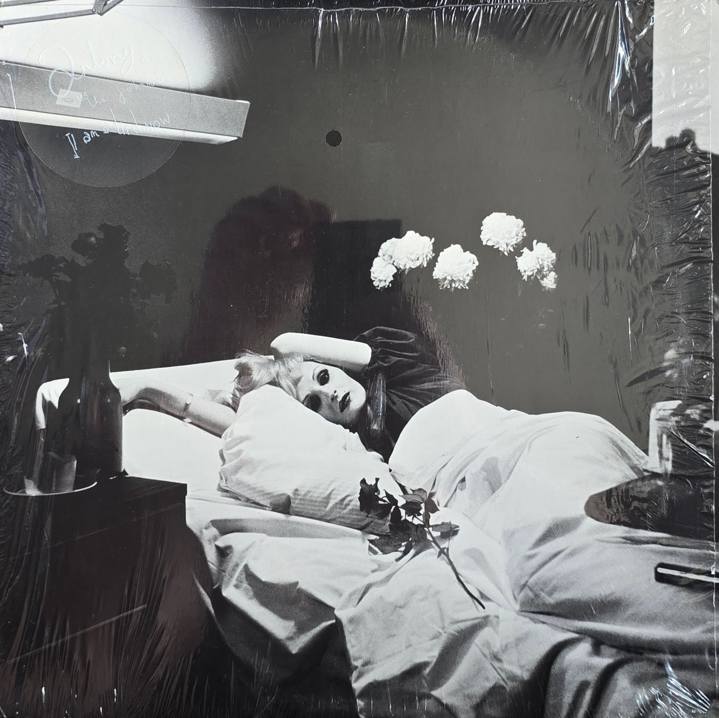 Antony And The Johnsons – I Am A Bird Now