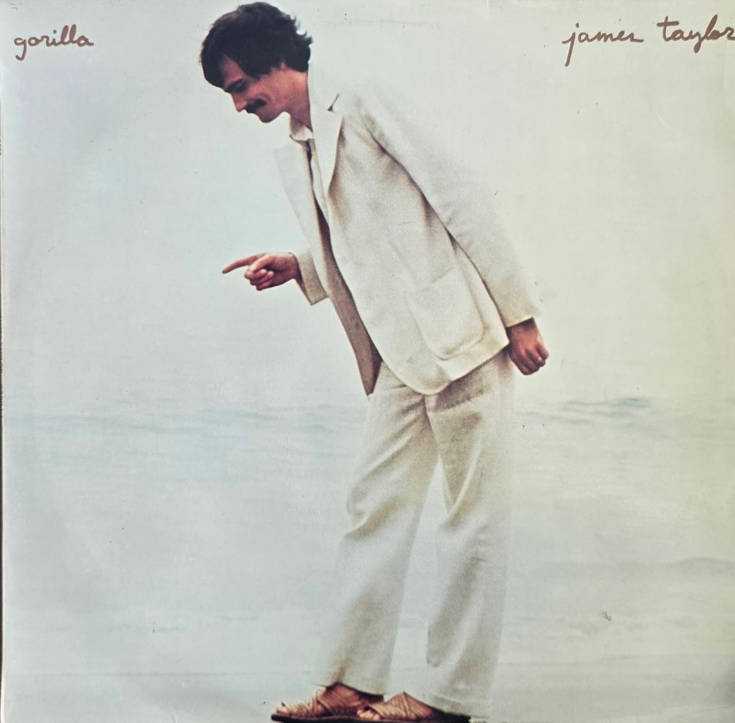 James Taylor – Gorilla