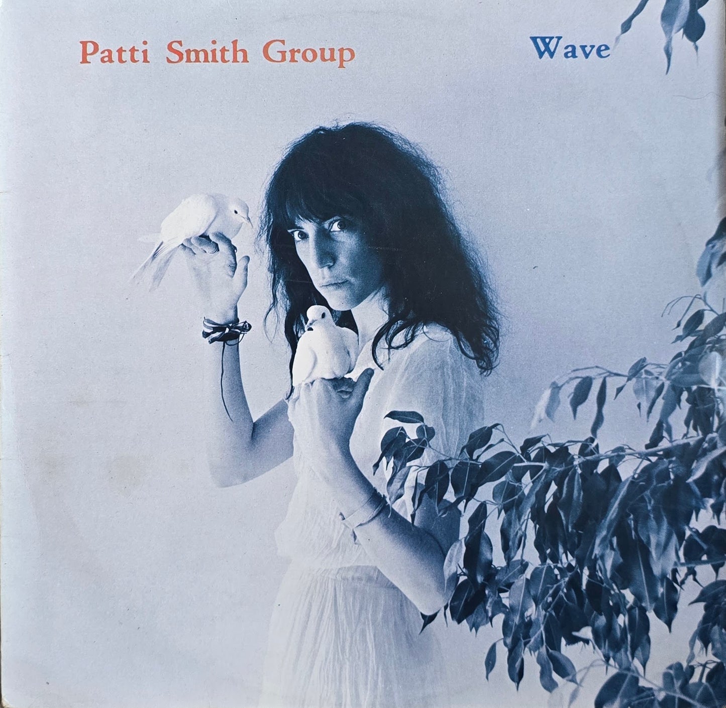 Patti Smith Group – Wave