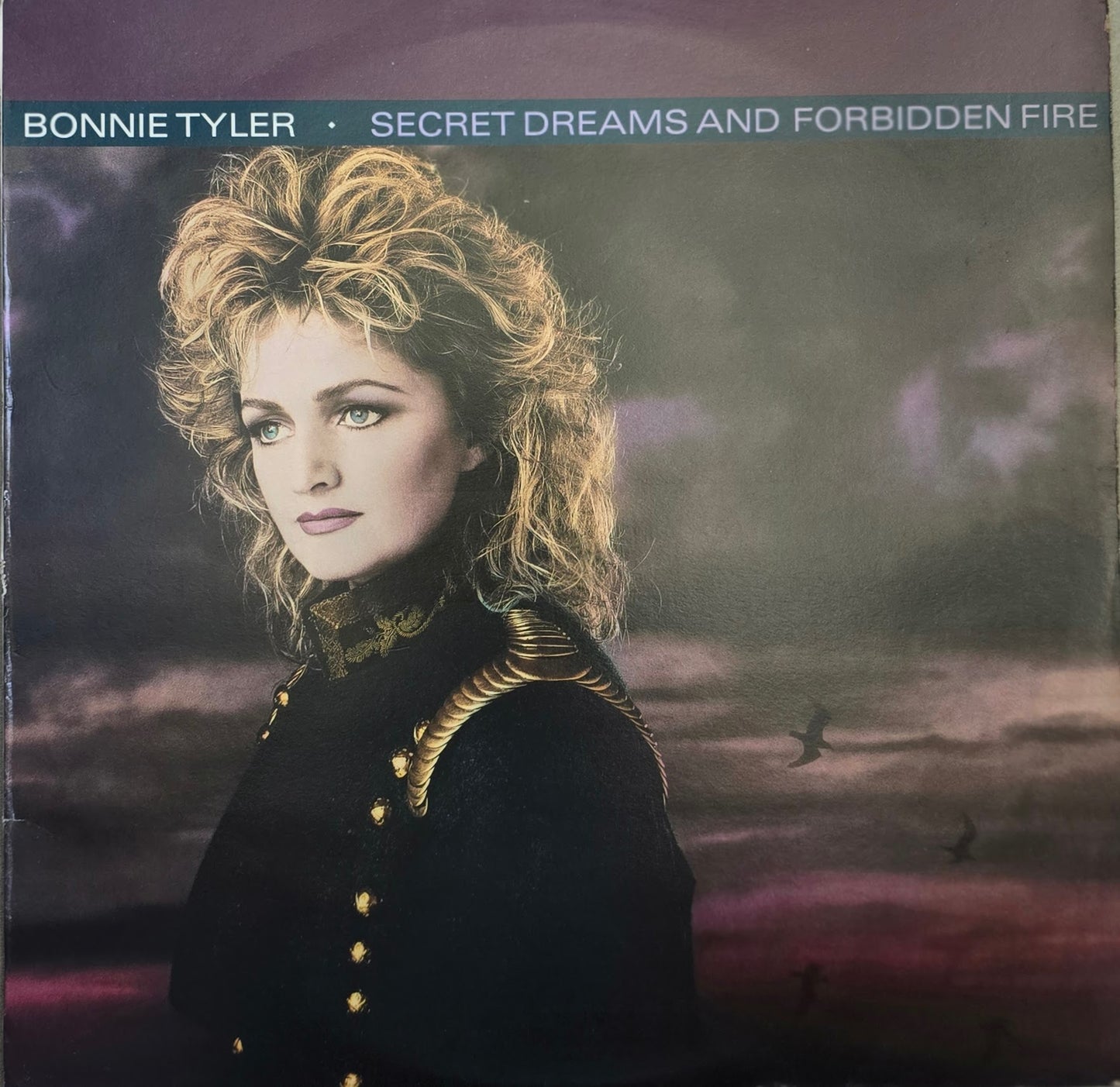 Bonnie Tyler – Secret Dreams And Forbidden Fire