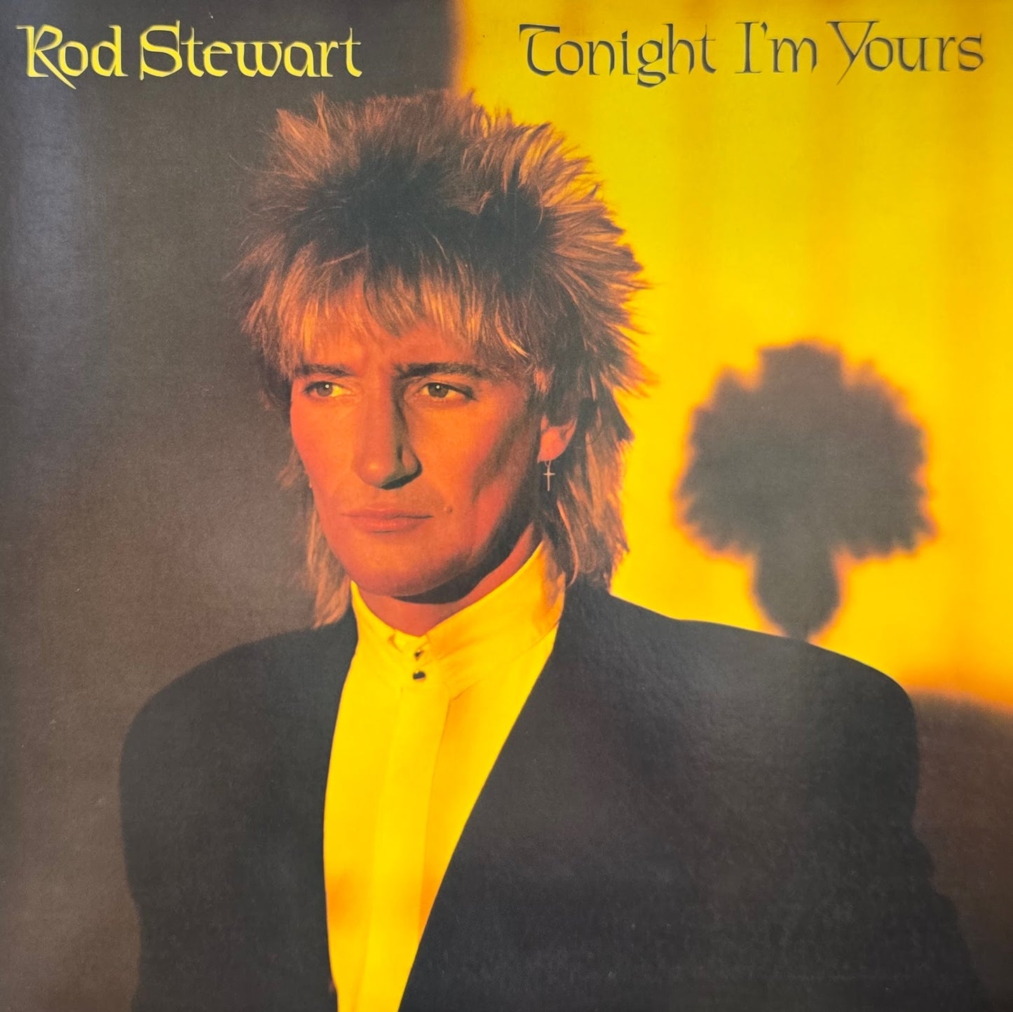 Rod Stewart – Tonight I'm Yours