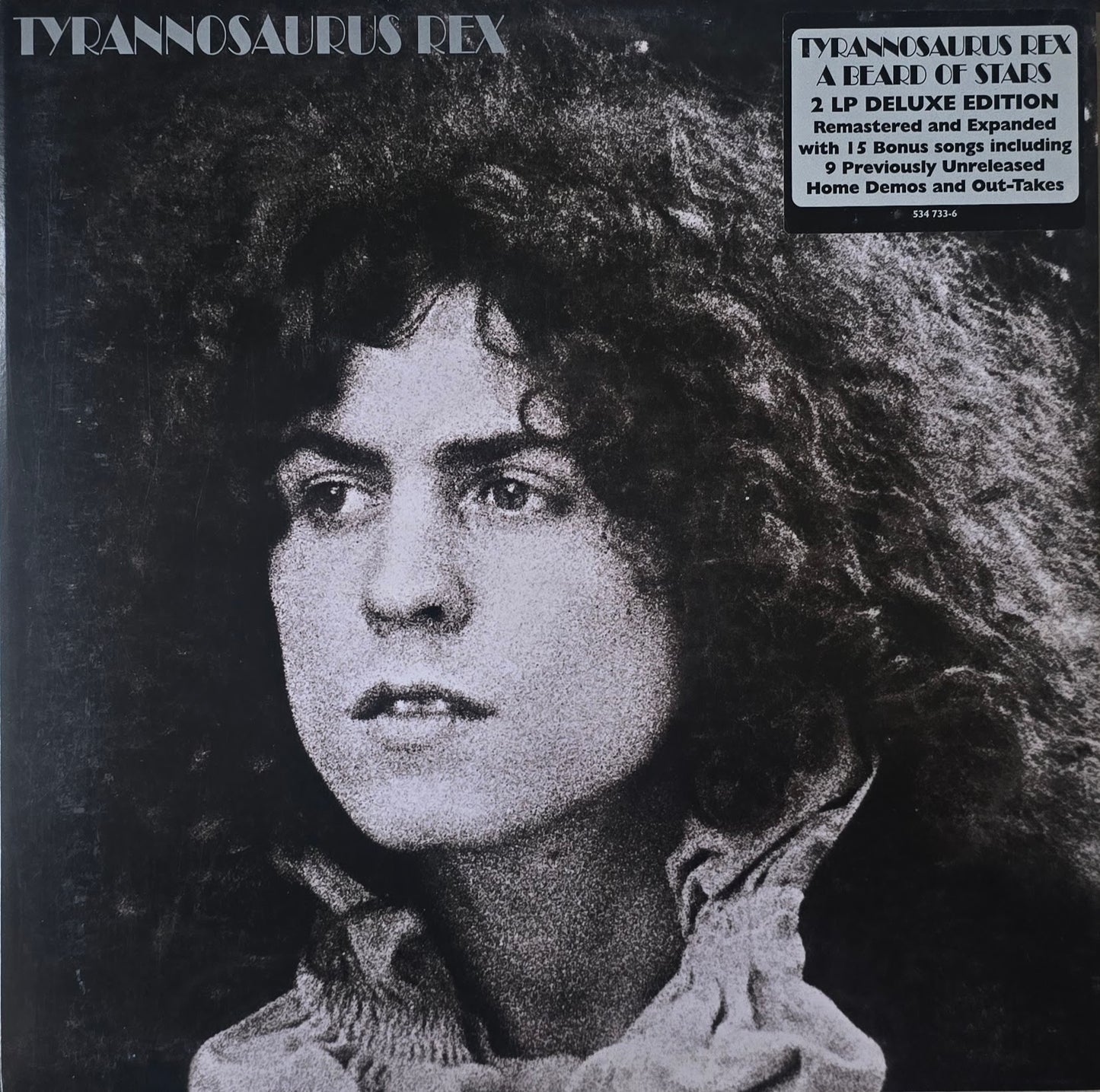 Tyrannosaurus Rex – A Beard Of Stars