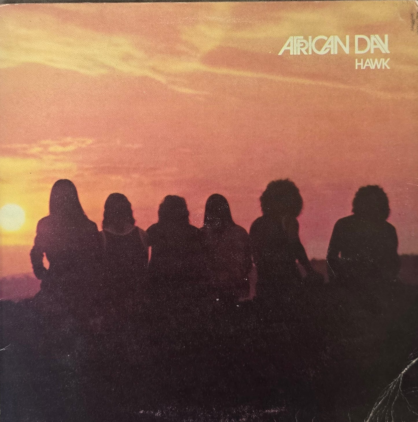 Hawk – African Day