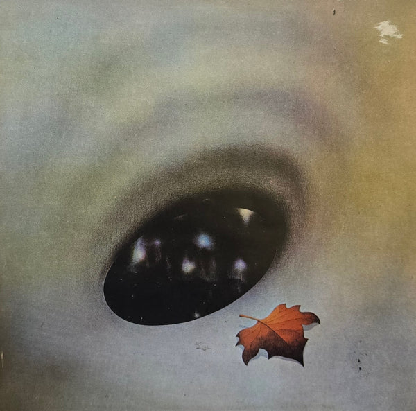 Robin Trower – Long Misty Days