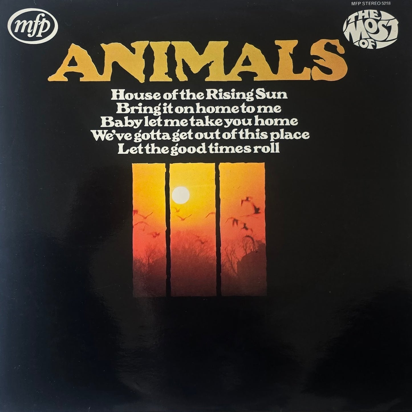 Animals – The Most Of