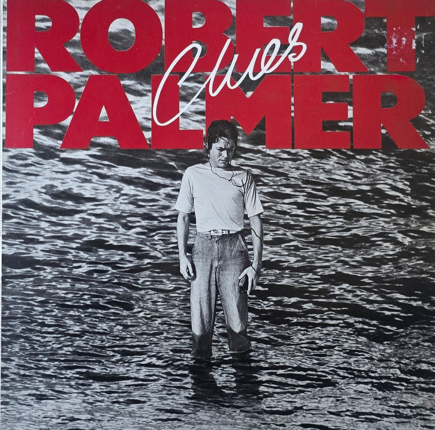 Robert Palmer – Clues