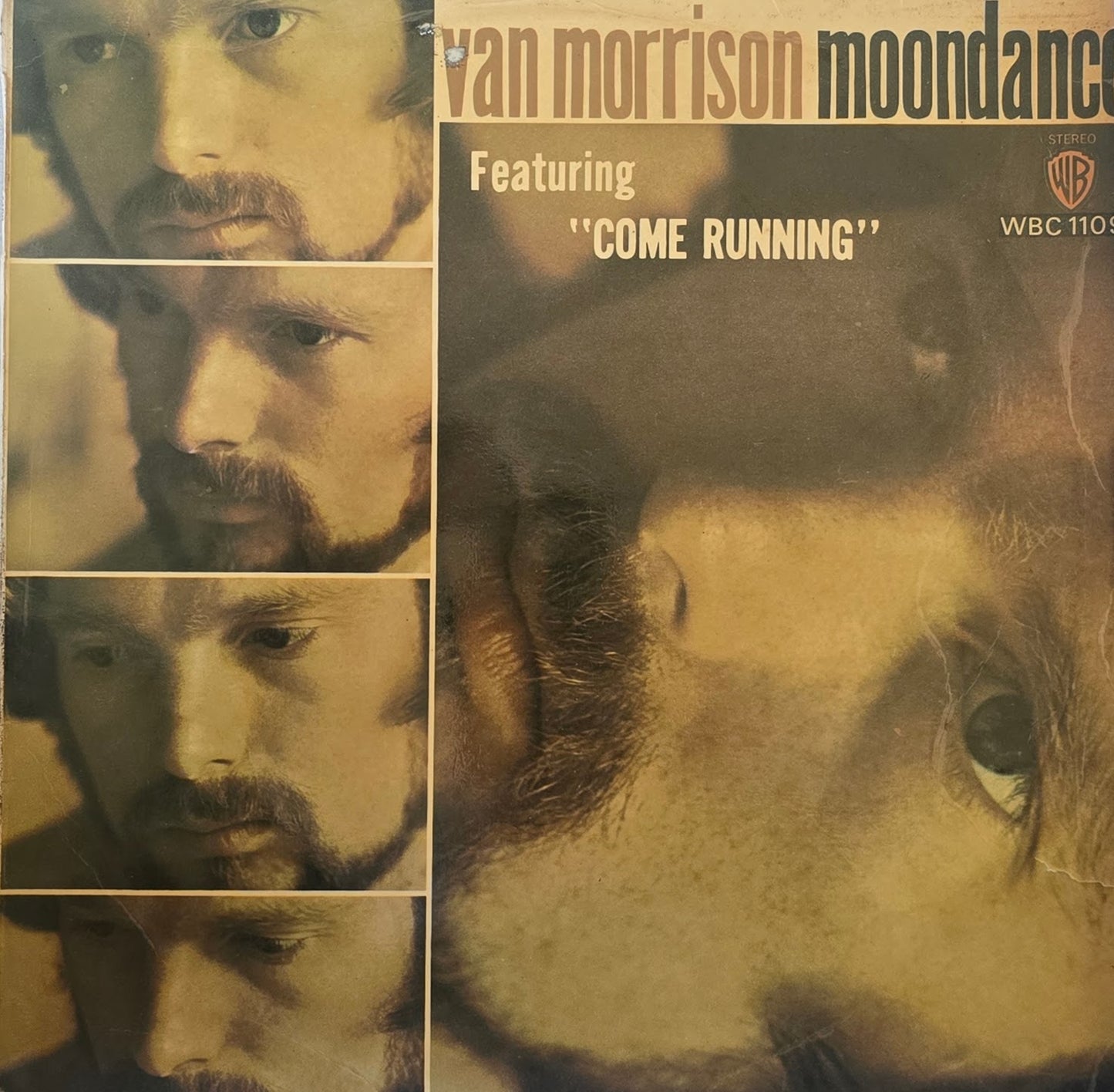 Van Morrison – Moondance