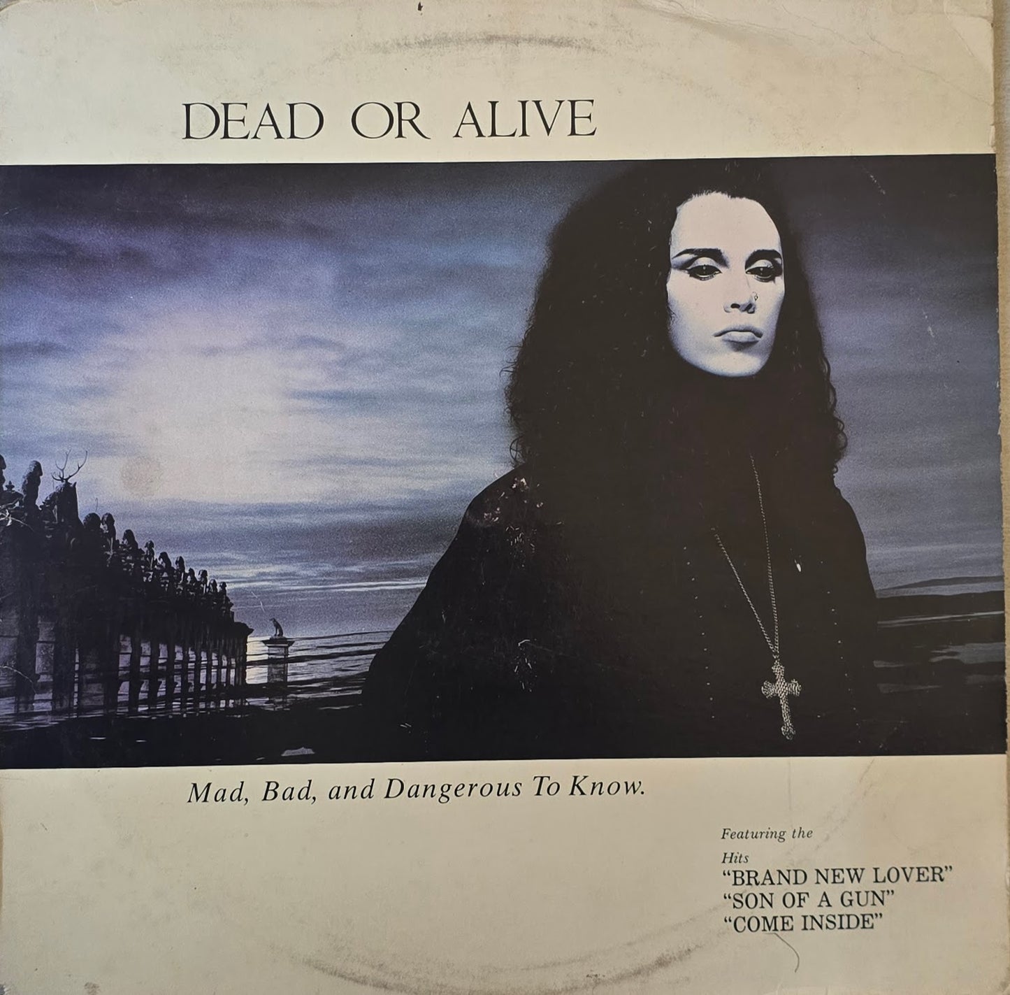 Dead Or Alive – Mad, Bad And Dangerous To Know