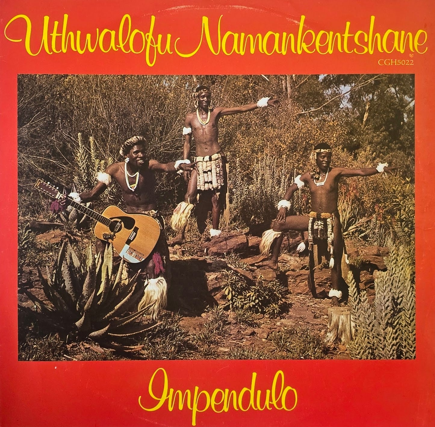 Uthwalofu Namankentshane – Impendulo