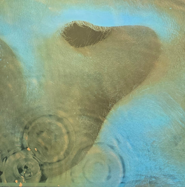 Pink Floyd – Meddle