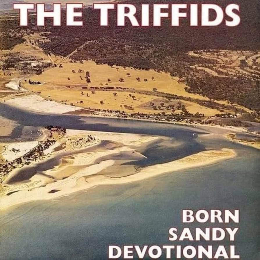 The Triffids – Born Sandy Devotional (Yellow)