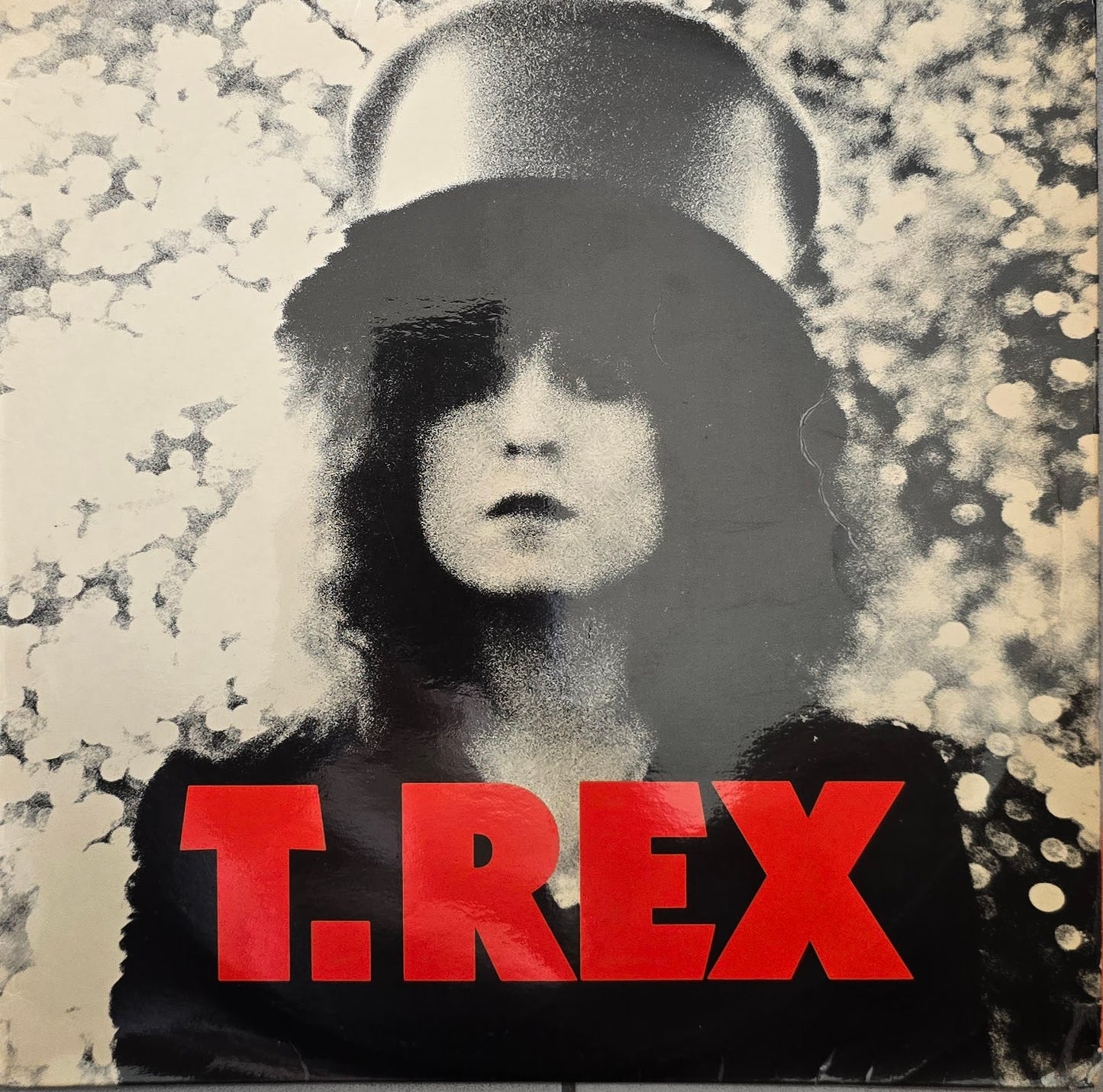 T. Rex – The Slider