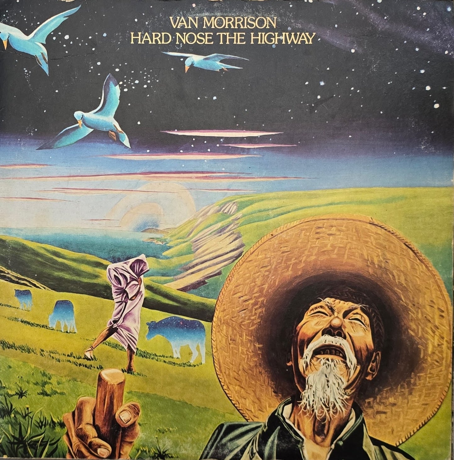 Van Morrison – Hard Nose The Highway