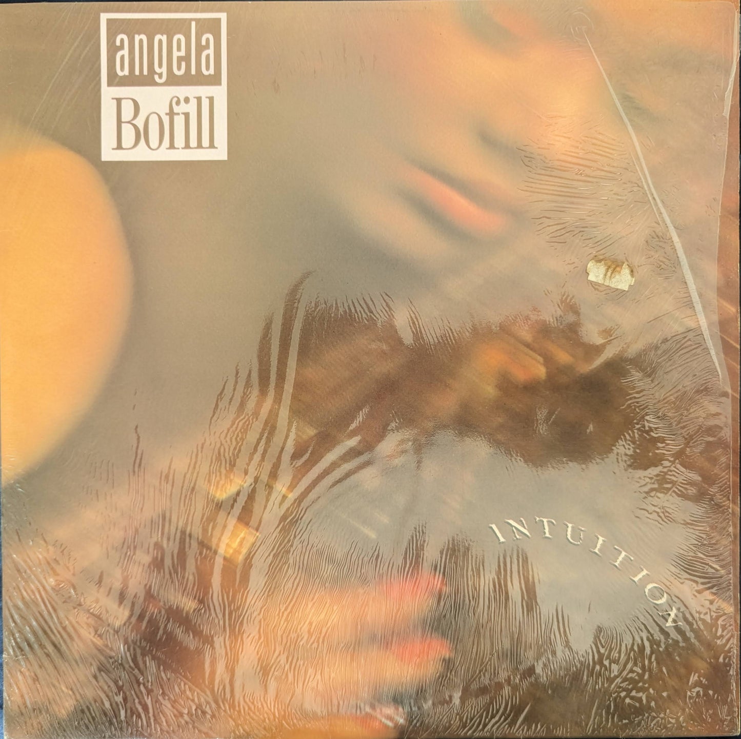 Angela Bofill – Intuition