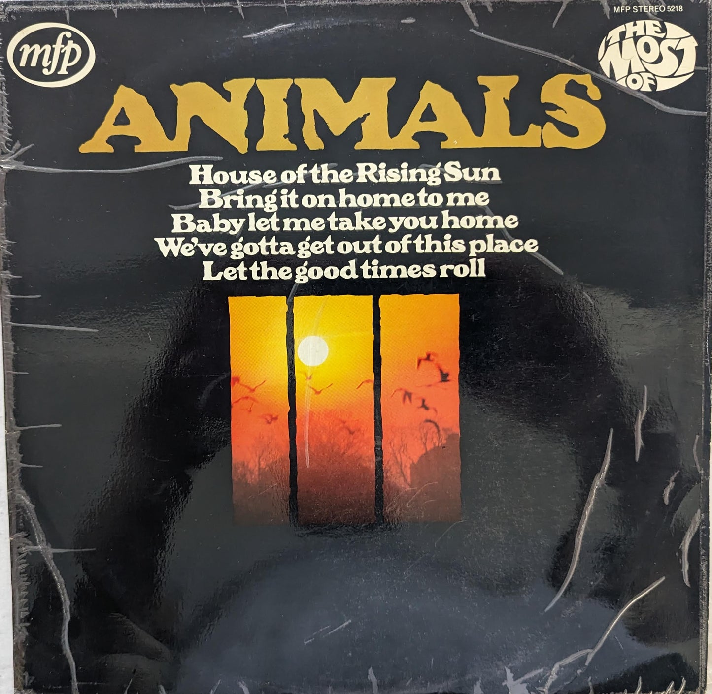 Animals – The Most Of
