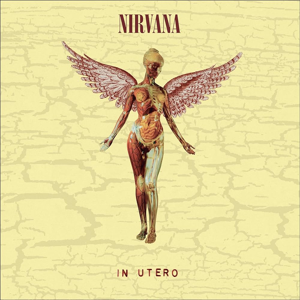 Nirvana - In Utero 30th Anniversary Edition