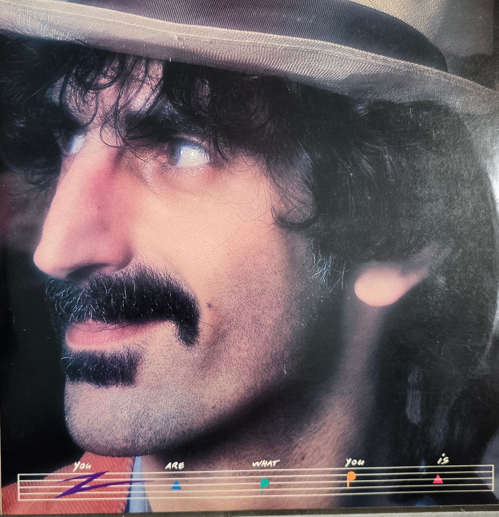 Frank Zappa You Are What You Is Vinyl Legend Frank zappa you are what you is vinyl legend