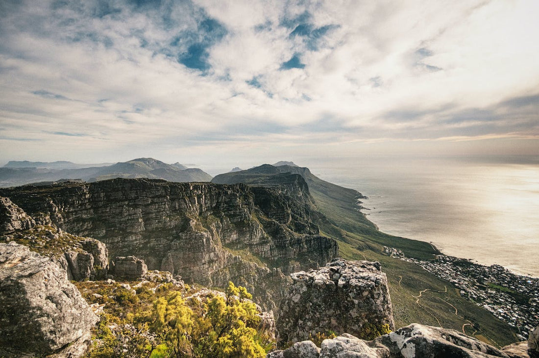 The Ultimate Guide to Buying Vinyl Records in South Africa