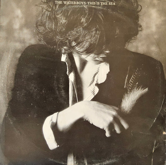 The Waterboys – This Is The Sea