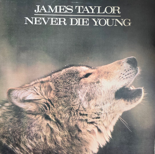James Taylor  – Never Die Young