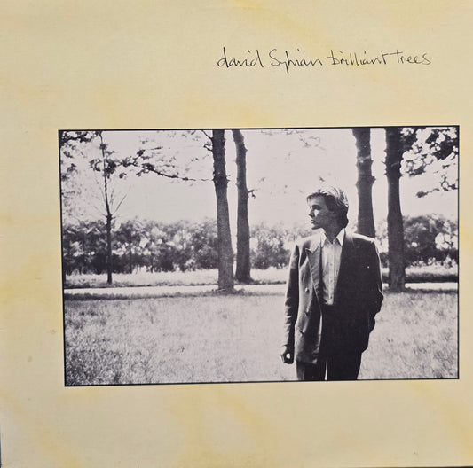 David Sylvian – Brilliant Trees