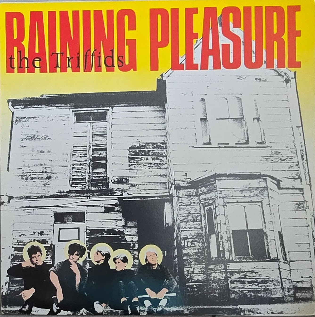 The Triffids – Raining Pleasure
