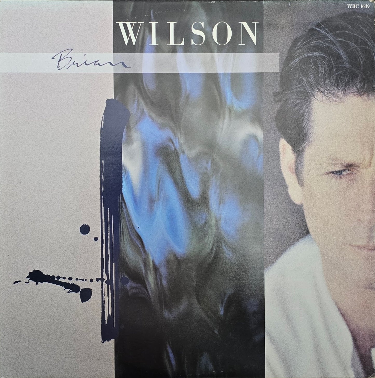 Brian Wilson – Brian Wilson
