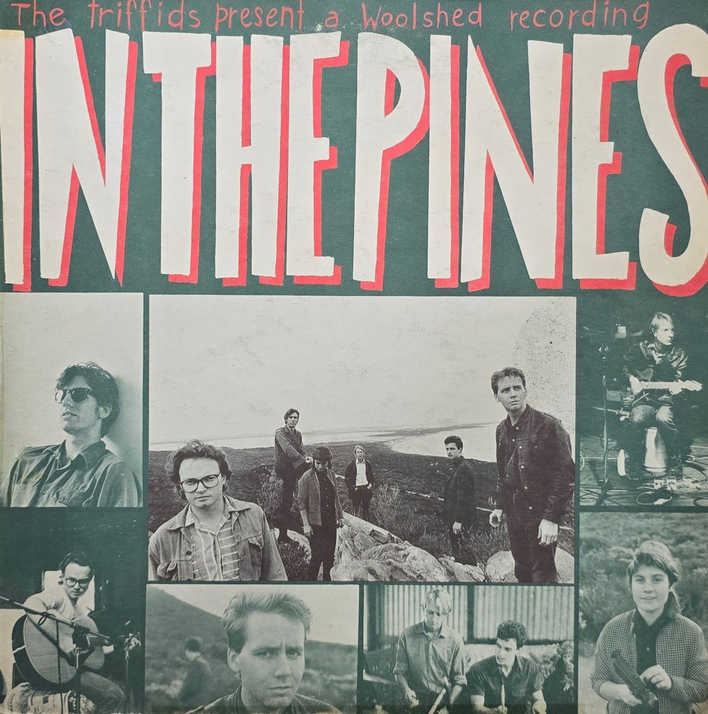 The Triffids – In The Pines