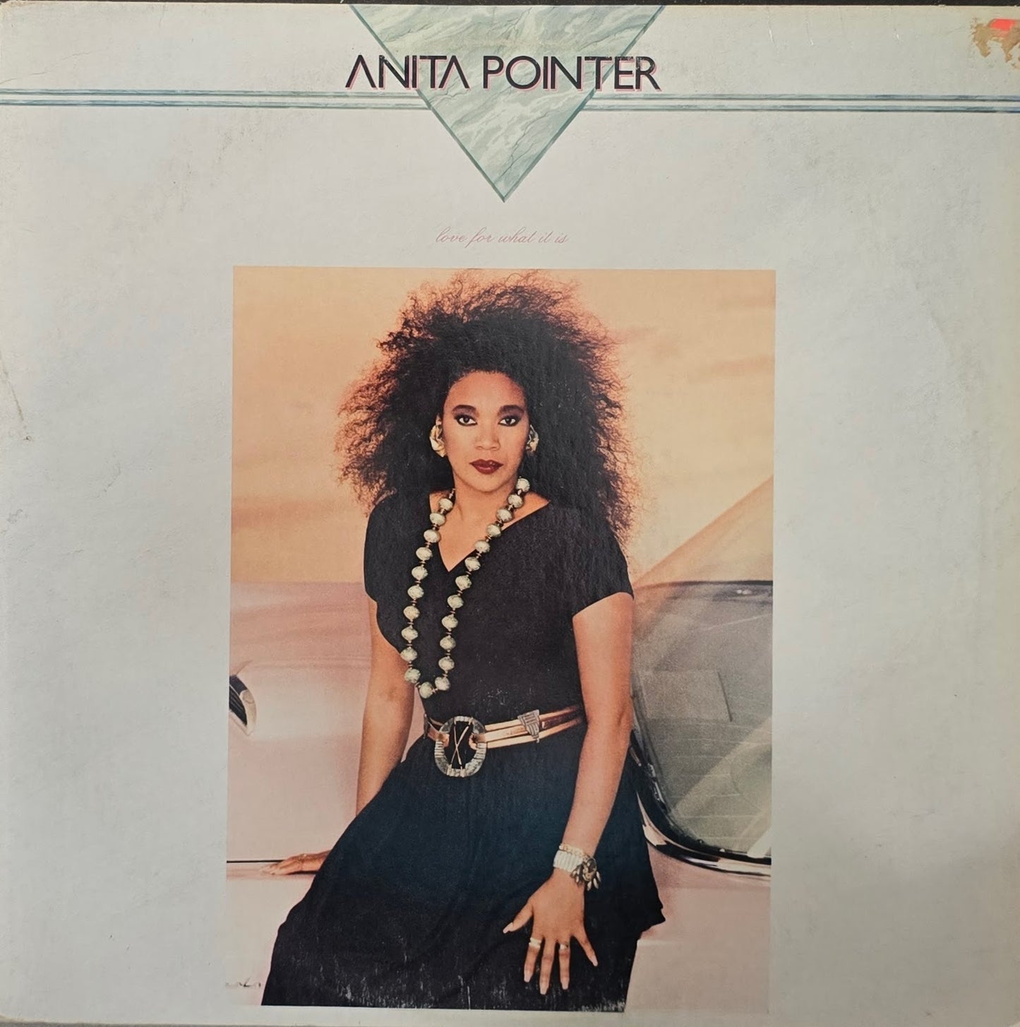 Anita Pointer – Love For What It Is