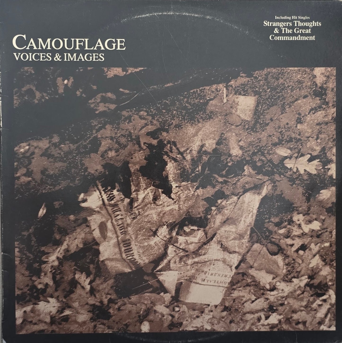 Camouflage – Voices & Images
