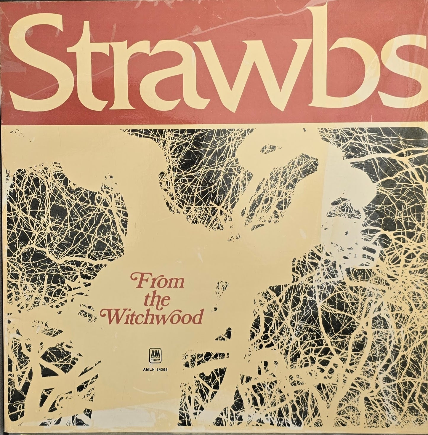 Strawbs – From The Witchwood