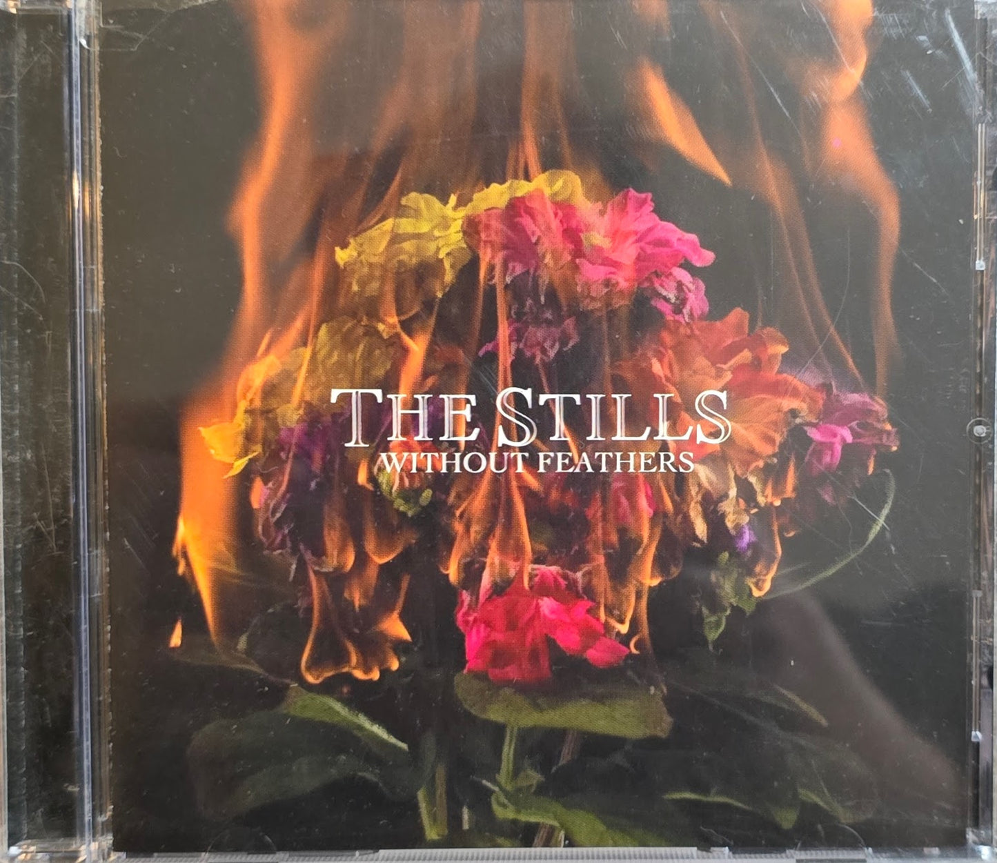 The Stills – Without Feathers (CD)