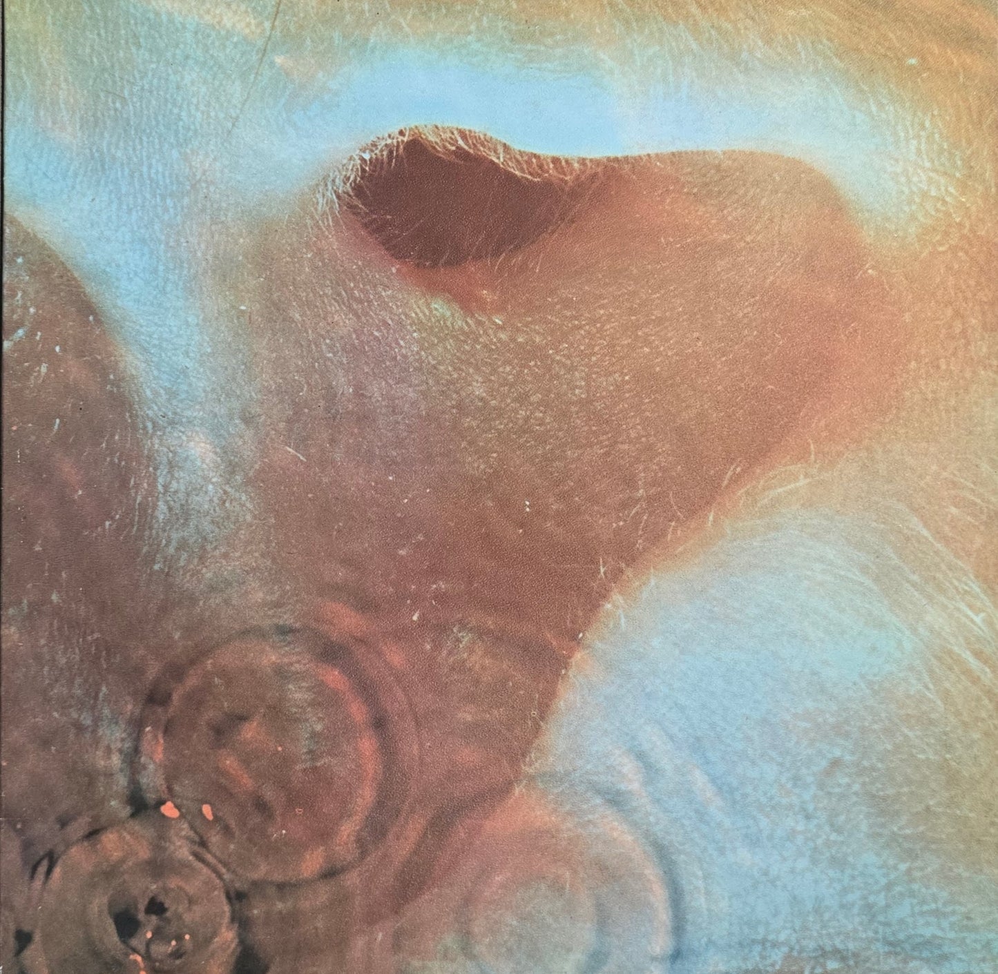 Pink Floyd – Meddle