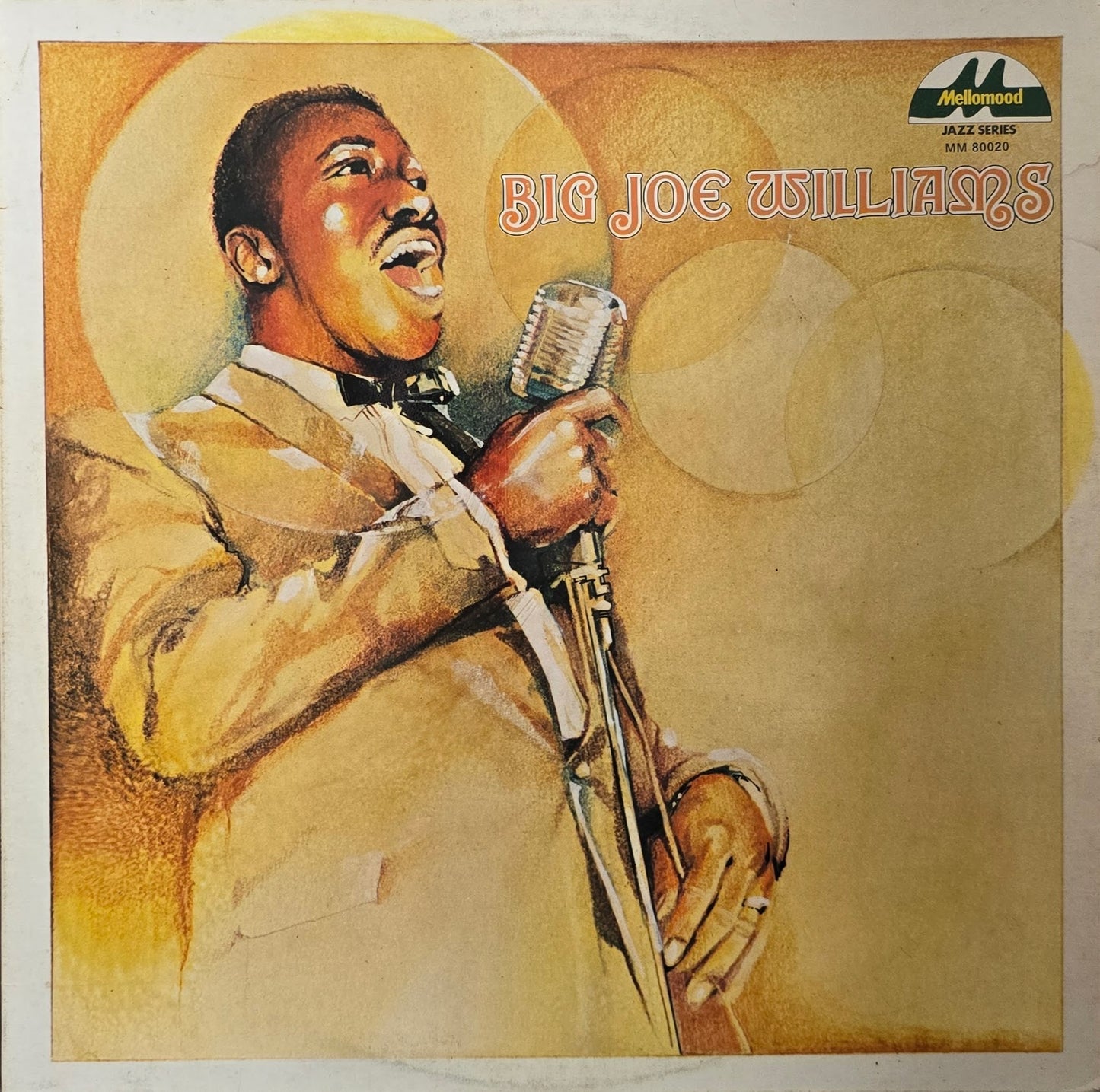 Big Joe WIlliams - Blues Bash