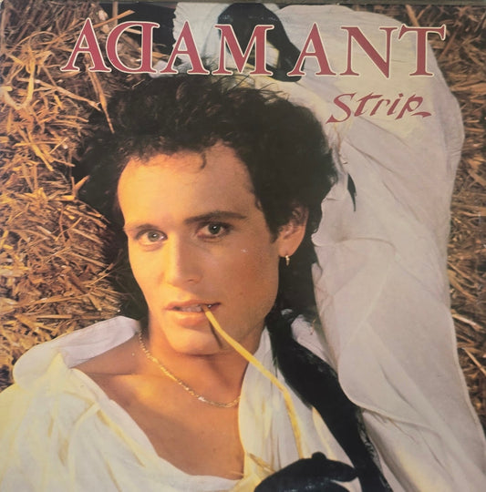 Adam Ant – Strip