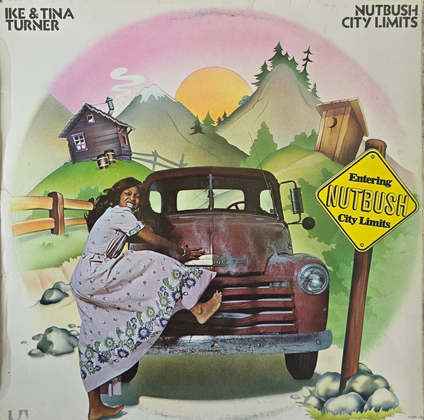 Ike & Tina Turner – Nutbush City Limits